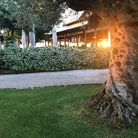 Hotel Casale Delle Arti 3*
