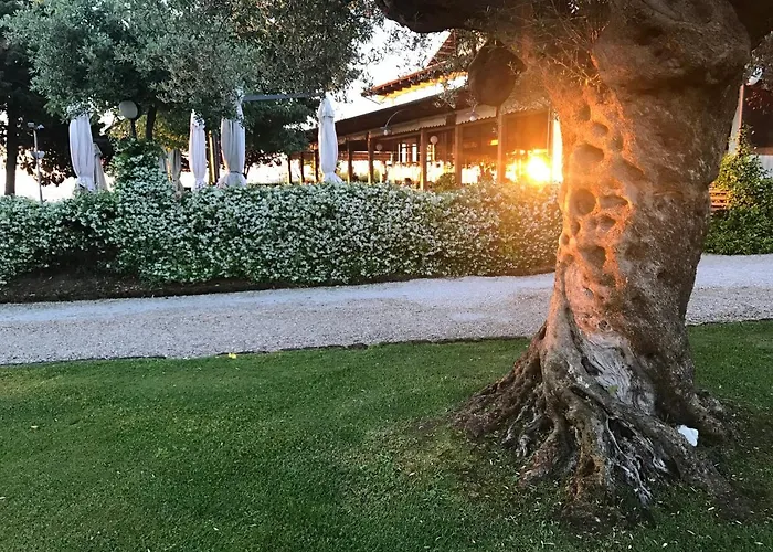 Hotel Casale Delle Arti 3*